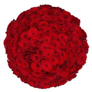 100 Premium rode Rozen | Bloemist