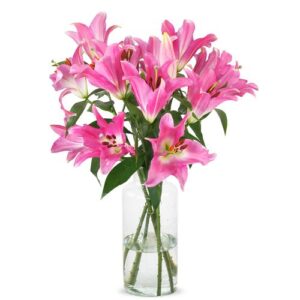 Lelies - Roze Oriental Lelies