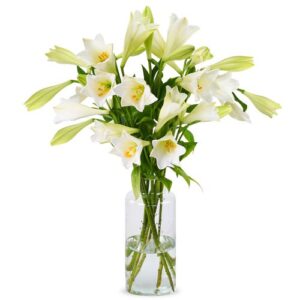 Lelies - Witte White Heaven Lelies