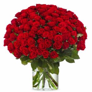 100 Premium rode Rozen - Red Naomi | Kweker