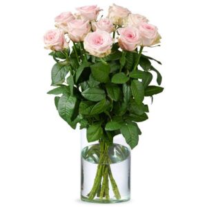 Lange roze rozen | kies aantal