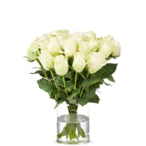 Witte rozen (40cm)