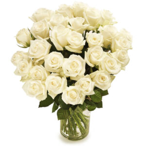 Witte rozen