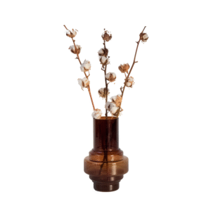 Droogbloemen - Set van 3 - Boeket'Cotton branch'- Droogbloemen