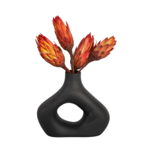 Droogbloemen - Set van 5 - Boeket'Protea Pendula Red'- Droogbloemen