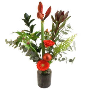 Kerstbloemen Amaryllis incl. glazen vaas