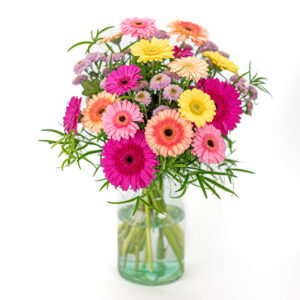 Zonneschijn Gerbera