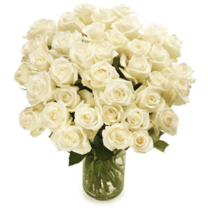 Witte rozen