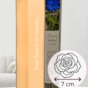 Blauwe premium long life roos in geschenkdoos | 50 cm