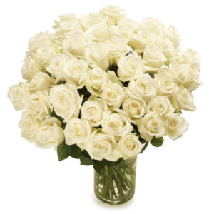 Witte rozen