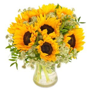 Zonnige zonnebloemen