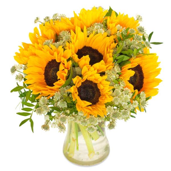 Zonnige zonnebloemen