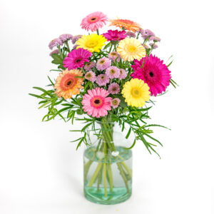 Zonneschijn Gerbera