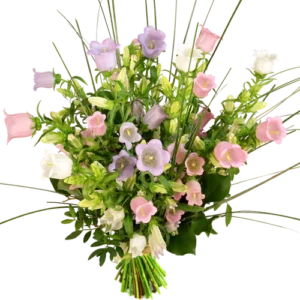 Campanula boeket (100 % NL)