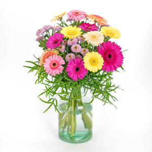 Zonneschijn Gerbera