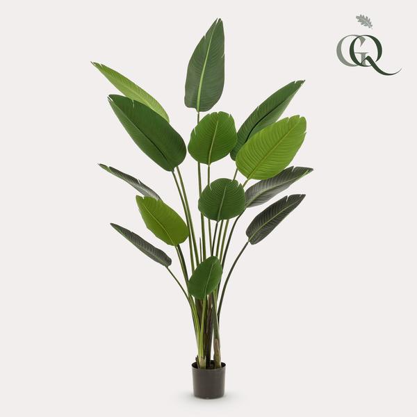 Kunstplant - Strelitzia Nicolai - Paradijsvogelbloem - 190 cm 1 Kunstplant - Strelitzia Nicolai - Paradijsvogelbloem - 190 cm