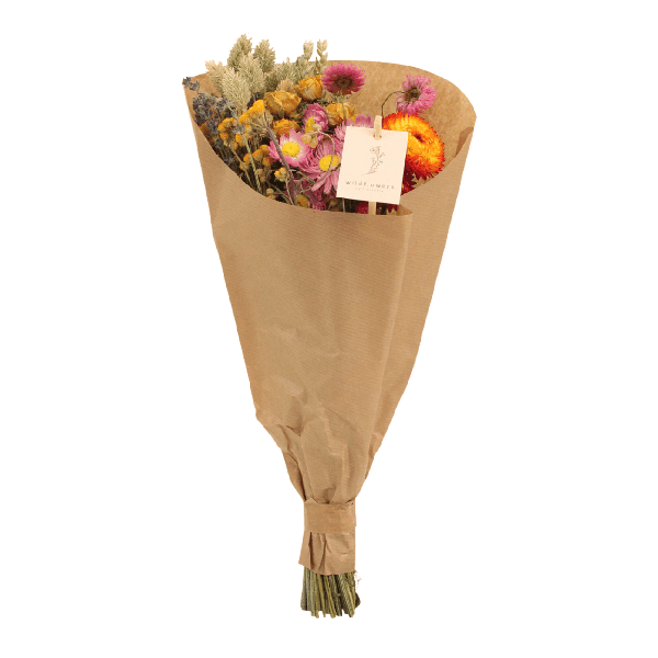 Droogbloemen Field Bouquet Multi - Ø25cm - ↕60cm - Ø15 - ↨35cm 1 Droogbloemen Field Bouquet Multi - Ø25cm - ↕60cm - Ø15 - ↨35cm