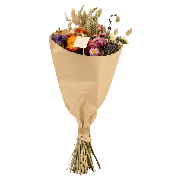 Droogbloemen Field Bouquet Multi - Ø25cm - ↕60cm - Ø20 - ↨50cm 1 Droogbloemen Field Bouquet Multi - Ø25cm - ↕60cm - Ø20 - ↨50cm