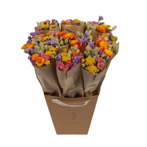 Droogbloemen - Market More - Multi - ↕50cm 1 Droogbloemen - Market More - Multi - ↕50cm
