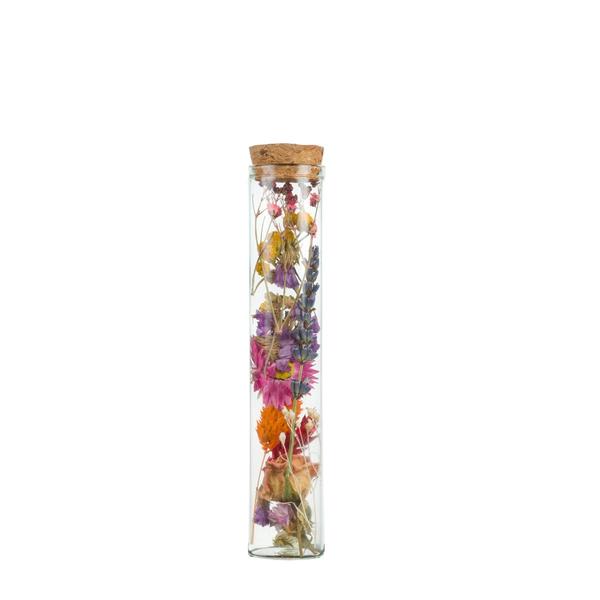 Droogbloemen - Wish Bottle Medium - Multi - 6 stuks - ↕15cm 1 Droogbloemen - Wish Bottle Medium - Multi - 6 stuks - ↕15cm