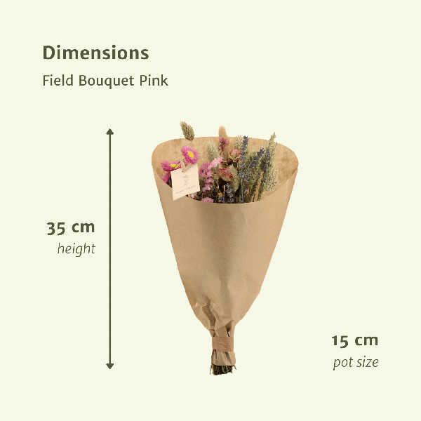 Droogbloemen Field Bouquet Pink - Ø25cm - ↕60cm - Ø15 - ↨35cm 1 Droogbloemen Field Bouquet Pink - Ø25cm - ↕60cm - Ø15 - ↨35cm
