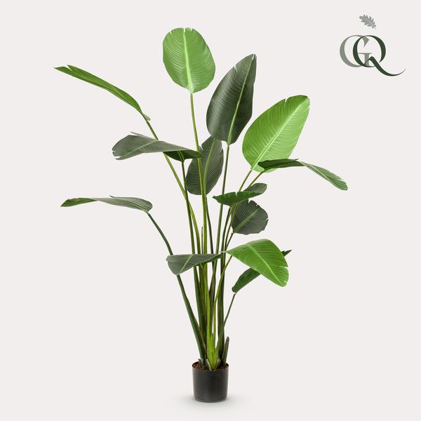 Kunstplant - Strelitzia Nicolai - Paradijsvogelbloem - 230cm 1 Kunstplant - Strelitzia Nicolai - Paradijsvogelbloem - 230cm